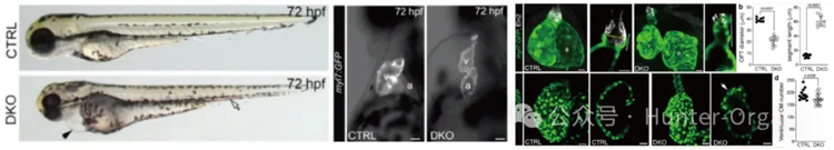 1776308551737763.jpg 3.jpg